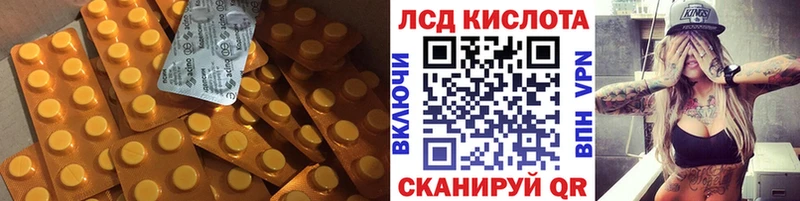 дарк нет наркотические препараты  Сосновый Бор  Лсд 25 экстази ecstasy  продажа наркотиков 