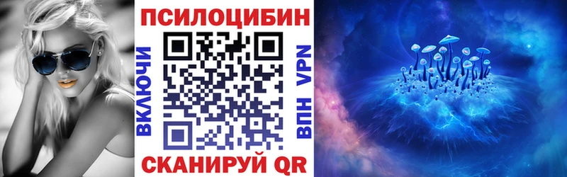 наркота  Сосновый Бор  Псилоцибиновые грибы Cubensis 